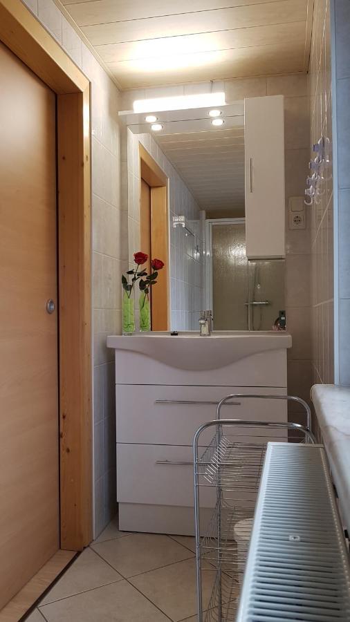 Ferienwohnung Berndt Oberweißbach Eksteriør billede