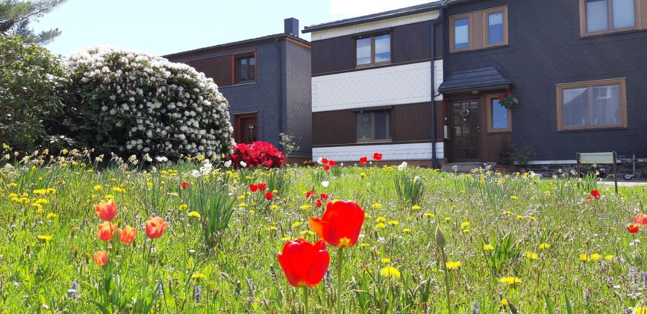 Ferienwohnung Berndt Oberweißbach Eksteriør billede
