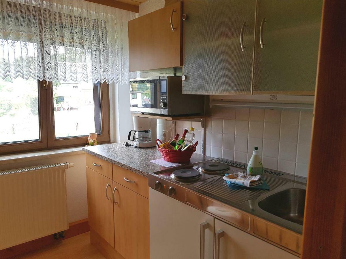 Ferienwohnung Berndt Oberweißbach Eksteriør billede